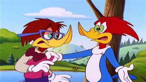 woody woodpecker cartoon|woody woodpecker cartoon full episodes.